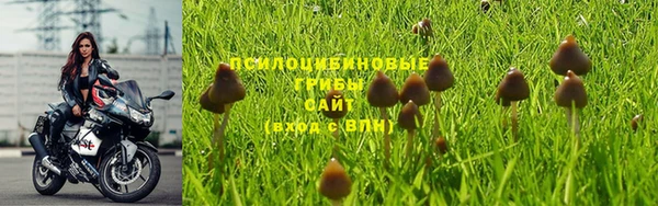 трава Верея