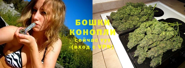трава Верея